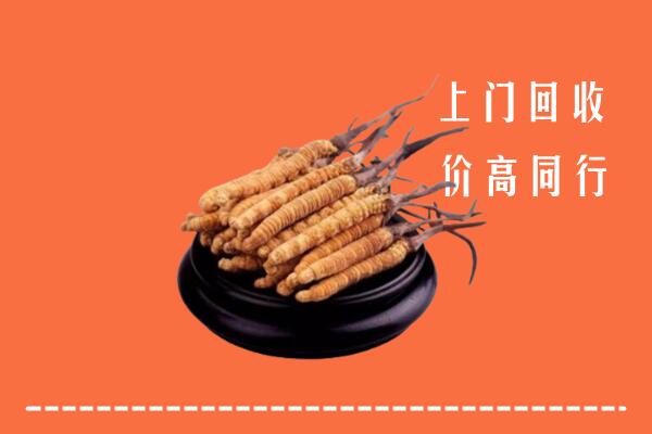 高价求购：宁波市北仑回收散虫草