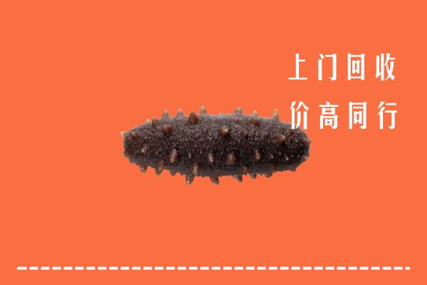 宁波市北仑回收海参