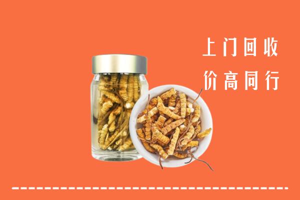 宁波市北仑回收冬虫夏草