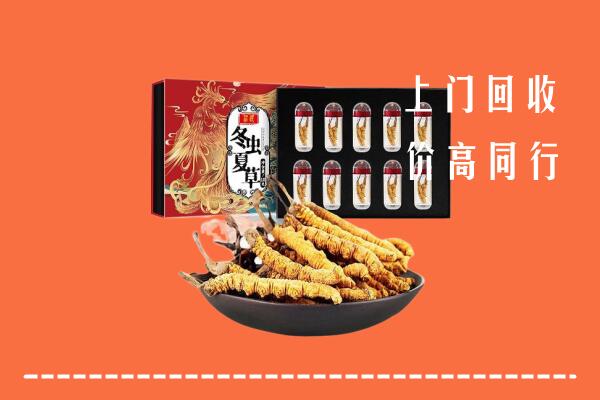 宁波市北仑回收虫草